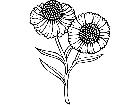  Flowers Helenium 1 5 9 V A 1 Decal
