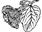  Flowers Hibiscus 1 5 9 V A 1 Decal