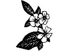  Flowers Impatiens 1 5 6 V A 1 Decal