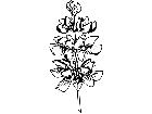  Flowers Lupine 1 5 9 V A 1 Decal