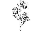  Flowers Monks Hood 1 5 9 V A 1 Decal