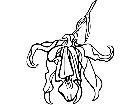  Flowers Orchid 1 5 9 V A 1 Decal