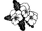  Flowers Pansies 1 5 5 V A 1 Decal