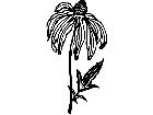  Flowers Rudbeckia 1 5 6 V A 1 Decal