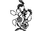  Flowers Strawflowers 1 5 5 V A 1 Decal