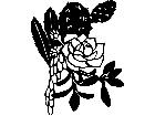  Flowers Succulents 1 5 5 V A 1 Decal