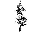  Flowers Sweet Pea 1 5 6 V A 1 Decal