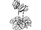  Flowers Violets 1 5 9 V A 1 Decal