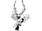  Football Bug Fly M B 1 Decal