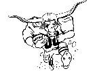  Football Steer Longhorn Run M B 1 Decal