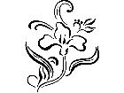  French Country Florals 1 4 1 5 3 V A 1 Decal
