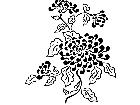  French Country Florals 1 7 1 5 3 V A 1 Decal