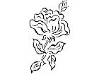  French Country Florals 2 1 1 5 3 V A 1 Decal