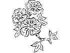 French Country Florals 2 2 1 5 3 V A 1 Decal