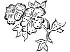  French Country Florals 2 5 1 5 3 V A 1 Decal