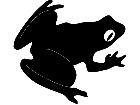  Frog Ribbet Decal