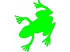  Frog Silhouette Decal