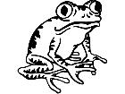  Frog Tree Decal