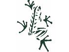  Frog Tribal Decal