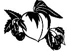  Fruits Vegtables Peaches And Cherries 1 6 0 V A 1 Decal