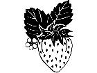  Fruits Vegtables Strawberry 1 6 0 V A 1 Decal