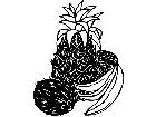  Fruits Vegtables Tropical 1 6 0 V A 1 Decal
