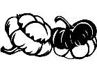  Fruits Vegtables Turban Squash 1 6 1 V A 1 Decal