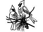  Holidays Cardinals 1 6 8 V A 1 Decal