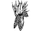  Holidays Indian Corn 1 6 7 V A 1 Decal
