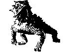  Horny Toad Decal