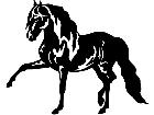  Horse Andalusian 1 4 3 V A 1 Decal