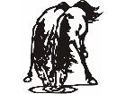  Horse Beauty 0 4 Decal