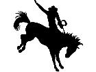  Horse Bucking 1 Decal