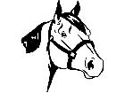  Horse Head Quarter 1 4 3 V A 1 Decal