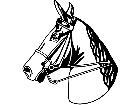  Horse Head 1 3 4 V A 1 Decal