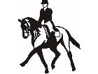  Horse Racing Girl C U 1 Decal