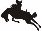  Horse Silhouette Rodeo 3 Decal
