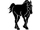  Horse 1 3 9 V A 1 Decal