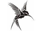  Hummingbird Tribal 1 9 4 Decal