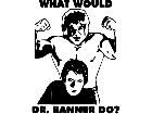  Incredible Hulk Banner Decal