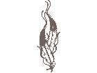  Indian Feathers Intertwined Decal