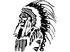  Indian Headdress Full Decal