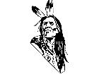  Indian Warrior M G P A 1 Decal
