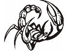  Insects Predatory 0 0 8 Decal