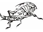  Insects Predatory 0 0 9 Decal