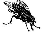  Insects Fly 1 4 4 V A 1 Decal