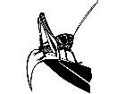  Insects Grasshopper 1 4 4 V A 1 Decal