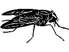  Insects Horse Fly 1 4 4 V A 1 Decal
