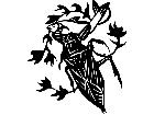  Insects Waterbug 1 4 4 V A 1 Decal