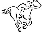  Jockey Racer Lines Decal
